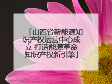 山西省新能源知识产权运营中心成立 打造能源革命知识产权新引擎